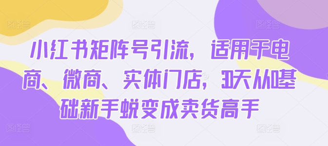小红书矩阵号引流，适用于电商、微商、实体门店，30天从0基础新手蜕变成卖货高手-比钱轻创