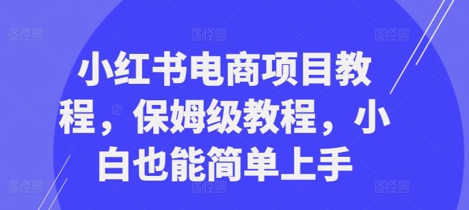 小红书电商项目教程，保姆级教程，小白也能简单上手-比钱轻创