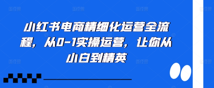 小红书电商精细化运营全流程，从0-1实操运营，让你从小白到精英-比钱轻创