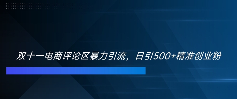 双十一电商评论区暴力引流，日引500+精准创业粉【揭秘】-比钱轻创