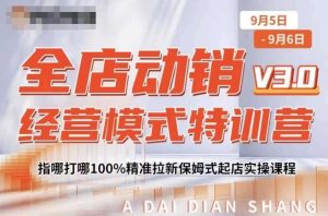 全店动销经营模式特训营，指哪打哪100%精准拉新保姆式起店实操课程-比钱轻创