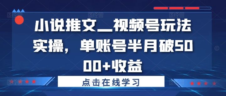 小说推文—视频号玩法实操，单账号半月破5000+收益-比钱轻创