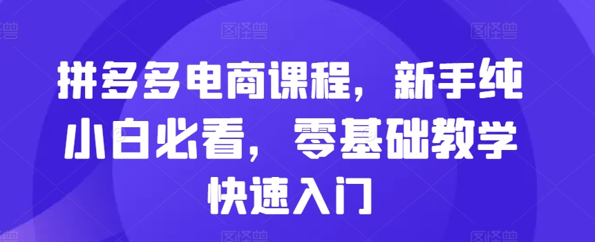 拼多多电商课程，新手纯小白必看，零基础教学快速入门-比钱轻创