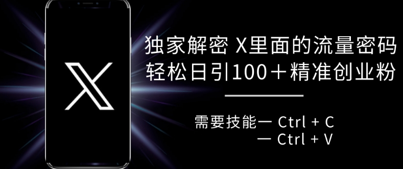 独家解密 X 里面的流量密码，复制粘贴轻松日引100+-比钱轻创