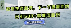 微信生态新宠小绿书：下一个流量洼地，日引500+精准创业粉，粉丝质量超高-比钱轻创
