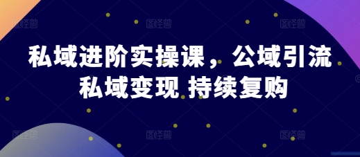 私域进阶实操课，公域引流 私域变现 持续复购-比钱轻创
