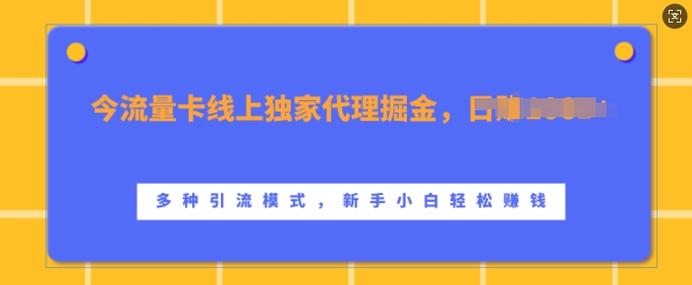 流量卡线上独家代理掘金，日入1k+ ，多种引流模式，新手小白轻松上手【揭秘】-比钱轻创