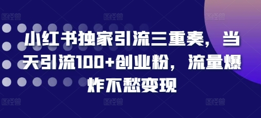 小红书独家引流三重奏，当天引流100+创业粉，流量爆炸不愁变现【揭秘】-比钱轻创
