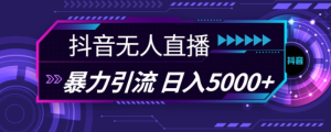 抖音快手视频号全平台通用无人直播引流法,利用图片模板和语音话术,暴力日引流100+创业粉【揭秘】-比钱轻创