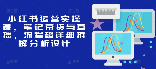 小红书运营实操课，笔记带货与直播，流程超详细拆解分析设计-比钱轻创