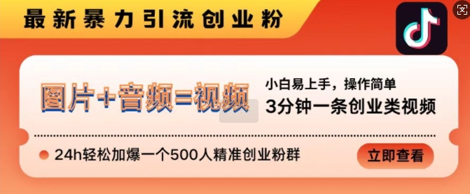抖音最新暴力引流创业粉，3分钟一条创业类视频，24h轻松加爆一个500人精准创业粉群【揭秘】-比钱轻创