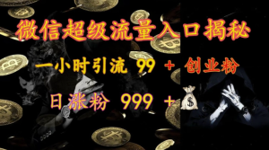 微信超级流量入口揭秘：一小时引流 99 + 创业粉，日涨粉 999 +-比钱轻创