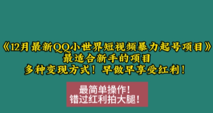 12月最新QQ小世界短视频暴力起号项目，最适合新手的项目，多种变现方式-比钱轻创