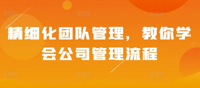精细化团队管理，教你学会公司管理流程-比钱轻创