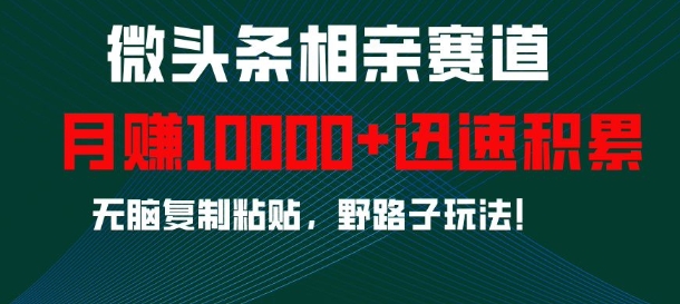 微头条相亲赛道，迅速积累，无脑复制粘贴，野路子玩法，月入1w-比钱轻创