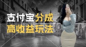 支付宝分成计划新玩法，利用交通事故视频，赚收益，轻松月入过W，操作简单【揭秘】-比钱轻创