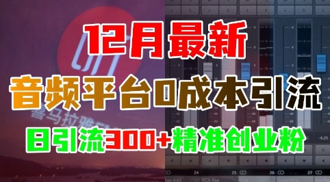 12月最新：音频平台0成本引流，日引流300+精准创业粉-比钱轻创