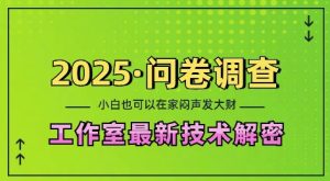 2025问卷调查最新工作室技术解密：一个人在家也可以闷声发大财，小白一天2张，可矩阵放大【揭秘】-比钱轻创