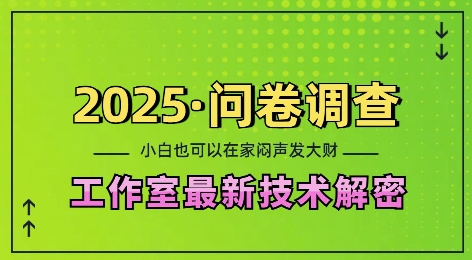 2025问卷调查最新工作室技术解密：一个人在家也可以闷声发大财，小白一天2张，可矩阵放大【揭秘】-比钱轻创