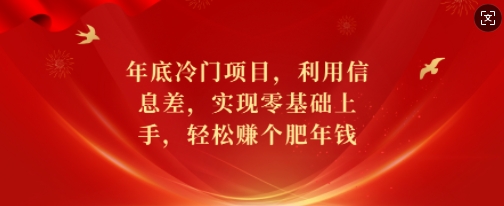 年底冷门项目，利用信息差，实现零基础上手，轻松赚个肥年钱【揭秘】-比钱轻创