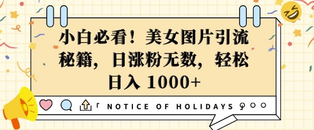 小白必看，美女图片引流秘籍，日涨粉无数，轻松日入几张【揭秘】-比钱轻创