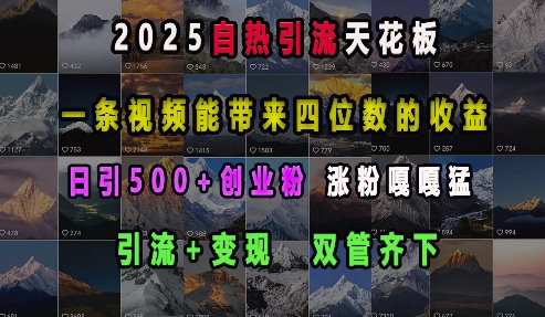 2025自热引流天花板，一条视频能带来四位数的收益，引流+变现双管齐下，日引500+创业粉，涨粉嘎嘎猛-比钱轻创