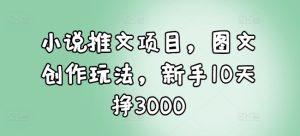 小说推文项目，图文创作玩法，新手10天挣3000-比钱轻创