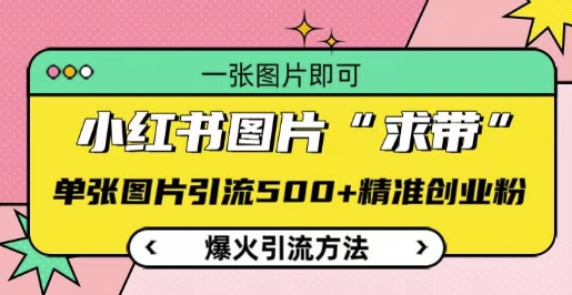 小红书图片‘求带’爆火引流法，单张图片引流500+精准创业粉【揭秘】-比钱轻创