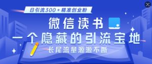 微信读书，一个隐藏的引流宝地，不为人知的小众打法，日引流300+精准创业粉，长尾流量源源不断-比钱轻创