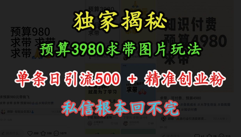 预算3980求带 图片玩法，单条日引流500+精准创业粉，私信根本回不完-比钱轻创