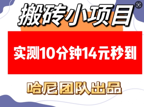 搬砖小项目，实测10分钟14元秒到，每天稳定几张(赠送必看稳定)-比钱轻创