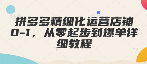 拼多多精细化运营店铺0-1，从零起步到爆单详细教程-比钱轻创