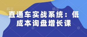直通车实战系统：低成本询盘增长课，让个人通过技能实现升职加薪，让企业低成本获客，订单源源不断-比钱轻创
