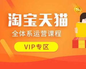淘宝天猫全体系运营课程：店铺全系运营、动销玩法、付费推广、流量提升、擦边球玩法等等-比钱轻创