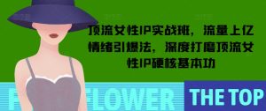 顶流女性IP实战班，流量上亿情绪引爆法，深度打磨顶流女性IP硬核基本功-比钱轻创