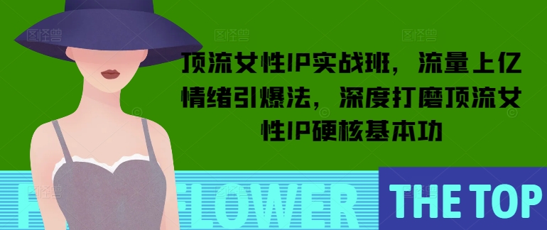 顶流女性IP实战班，流量上亿情绪引爆法，深度打磨顶流女性IP硬核基本功-比钱轻创