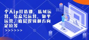 个人ip打造课,私域运营,公众号运营,知乎运营,底层逻辑和方向定位等-比钱轻创