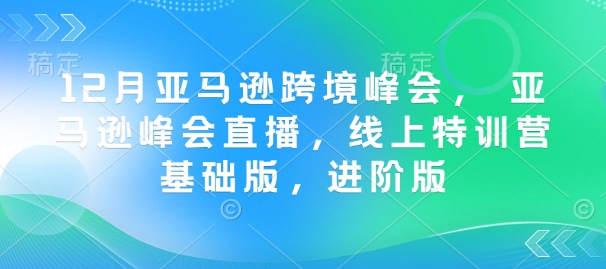 12月亚马逊跨境峰会， 亚马逊峰会直播，线上特训营基础版，进阶版-比钱轻创