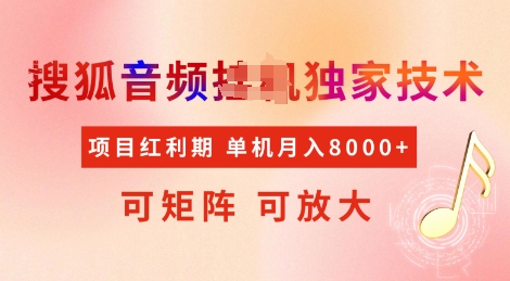 全网首发搜狐音频挂JI独家技术，项目红利期，可矩阵可放大，稳定月入8k【揭秘】-比钱轻创