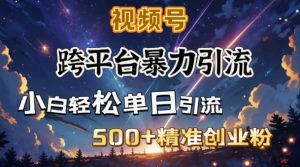 跨平台暴力引流，私域完美闭环，日引500+精准创业粉-比钱轻创