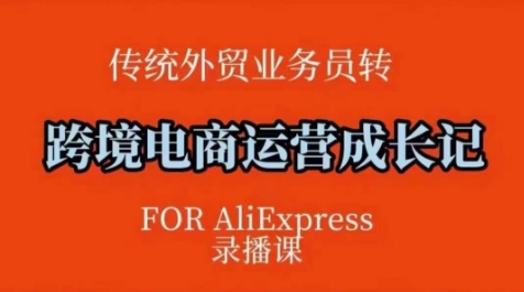 跨境电商速卖通运营课，​运营方法论+后台实操，逻辑清晰-比钱轻创
