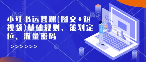 小红书运营课(图文+短视频)基础规则、策划定位、流量密码-比钱轻创