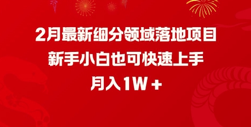 2月最新细分领域落地项目，新手小白也可快速上手，月入1W-比钱轻创