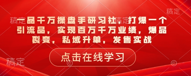 一品千万操盘手研习社，打爆一个引流品，实现百万千万业绩，爆品裂变，私域升单，发售实战-比钱轻创