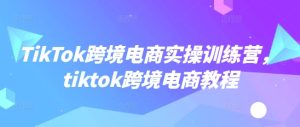 TikTok跨境电商实操训练营，tiktok跨境电商教程-比钱轻创