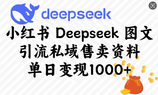 小红书Deepseek图文引流私域售卖资料，单日变现多张-比钱轻创