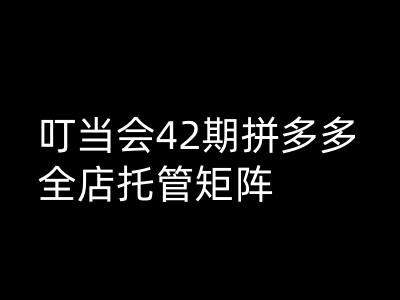 叮当会拼多多打爆班原创高阶技术第42期，拼多多全店托管矩阵-比钱轻创