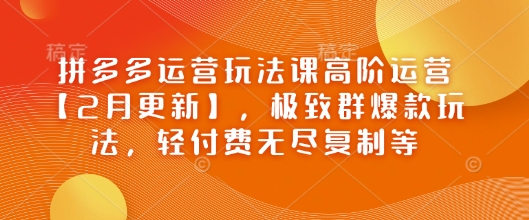 拼多多运营玩法课高阶运营【2月更新】，极致群爆款玩法，轻付费无尽复制等-比钱轻创