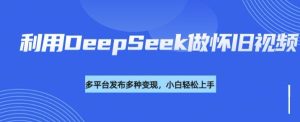利用DeepSeek做怀旧视频，流量号多渠道变现能力强-比钱轻创