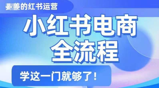 小红书电商全流程，精简易懂，从入门到精通，学这一门就够了-比钱轻创